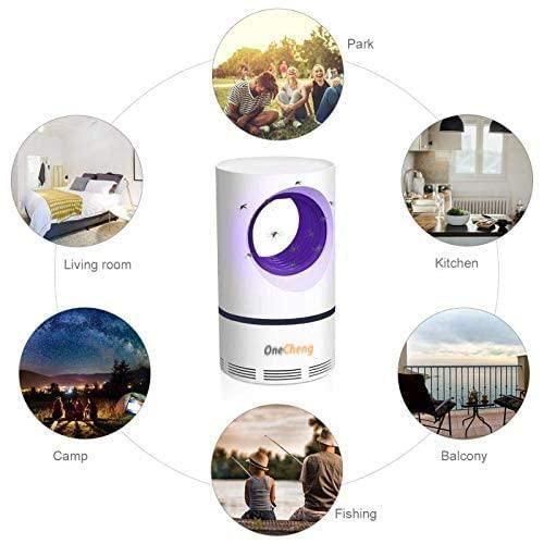 Tina P, Bhiai review photo